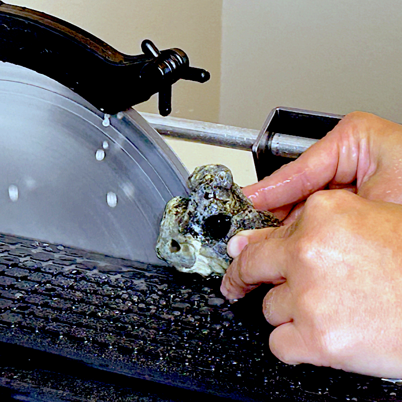 10" Slab saw